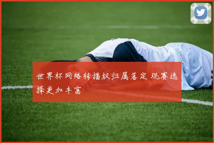世界杯网络转播权归属落定 观赛选择更加丰富