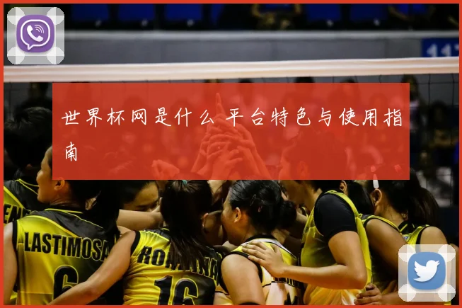 世界杯网是什么 平台特色与使用指南
