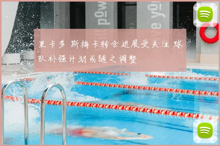 里卡多 斯梅卡转会进展受关注 球队补强计划或随之调整