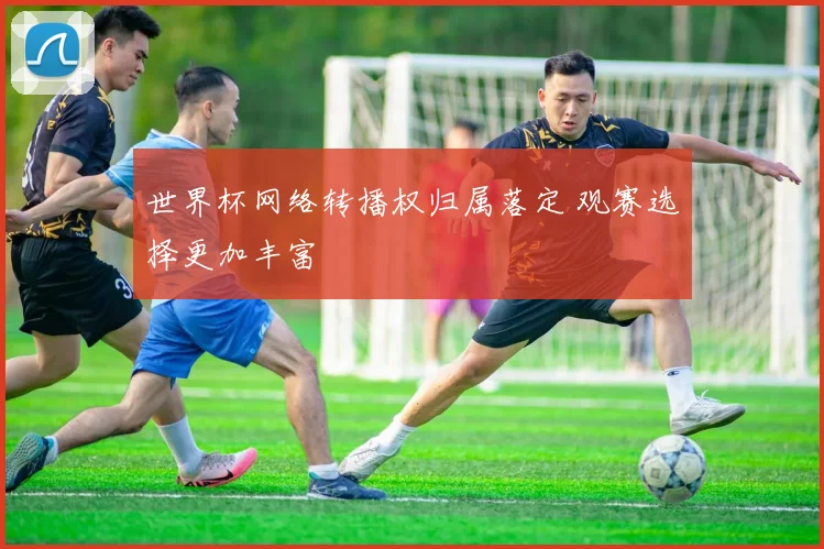 世界杯网络转播权归属落定 观赛选择更加丰富