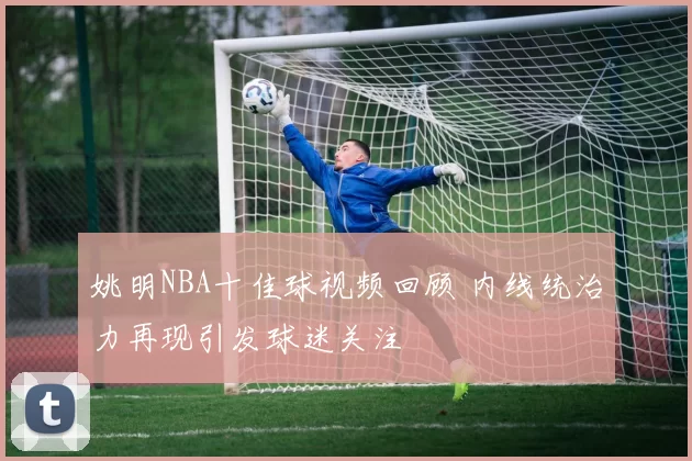 姚明NBA十佳球视频回顾 内线统治力再现引发球迷关注