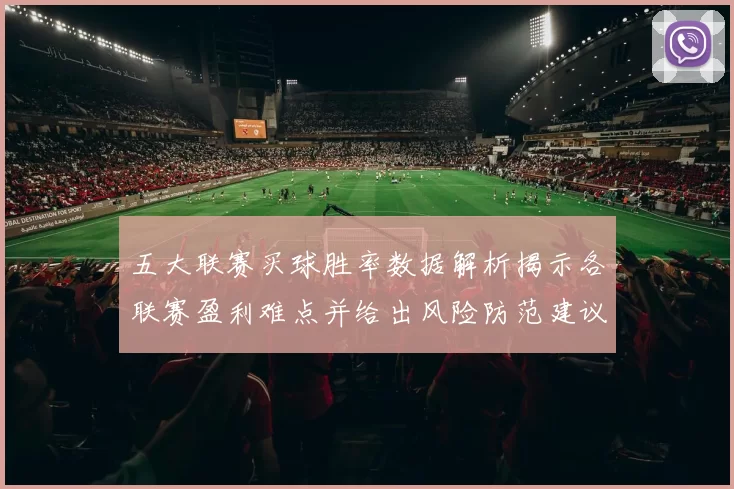 五大联赛买球胜率数据解析揭示各联赛盈利难点并给出风险防范建议