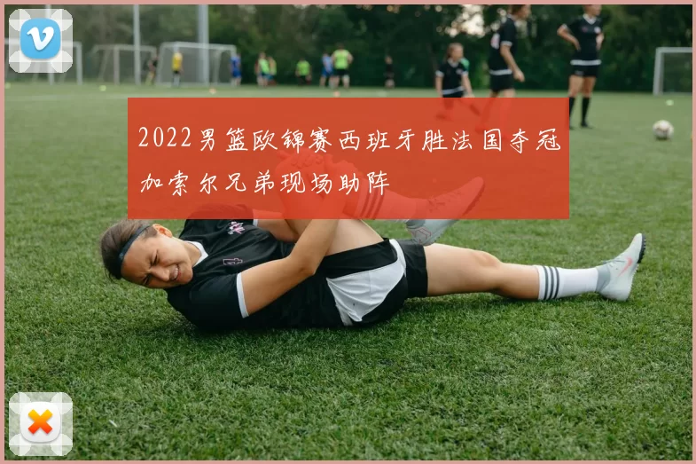 2022男篮欧锦赛西班牙胜法国夺冠加索尔兄弟现场助阵