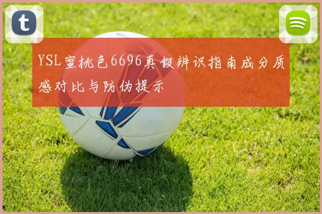 YSL蜜桃色6696真假辨识指南成分质感对比与防伪提示