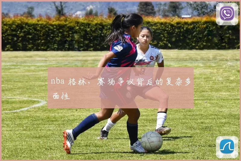 nba 格林，赛场争议背后的复杂多面性